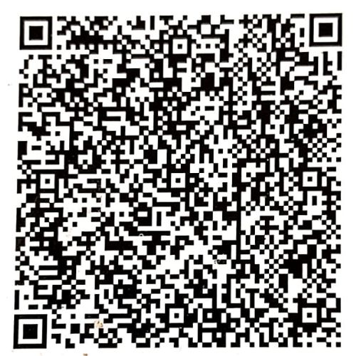 Google Pay QR